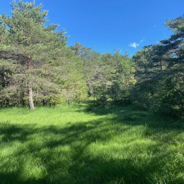 Offres de vente Terrain La Roque-Esclapon 83840