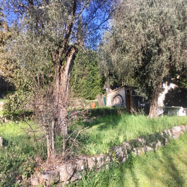 Offres de vente Terrain Grasse 06130