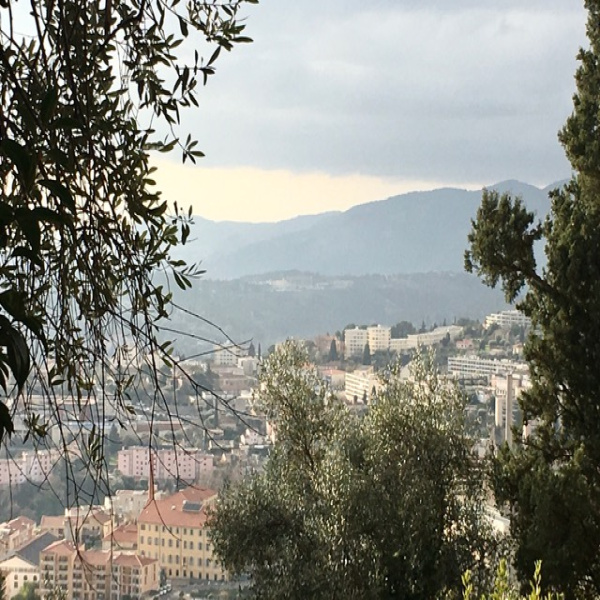 Offres de vente Terrain Grasse 06130